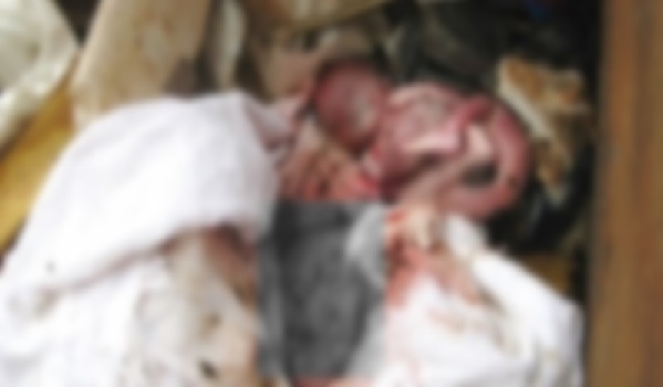 Deux fœtus dans la poubelle de l’hôpital de Kasserine 
